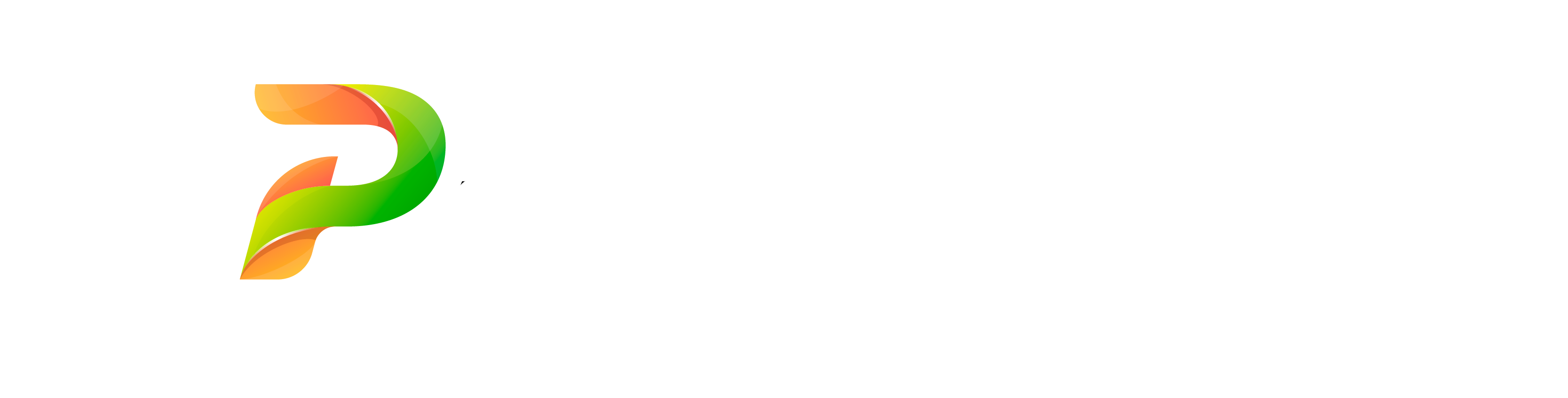 Grupo Parizotto